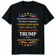 Funny Anti-Trump Shirt — Sarcastic Liberal Democrat Gift Political Humor Tee