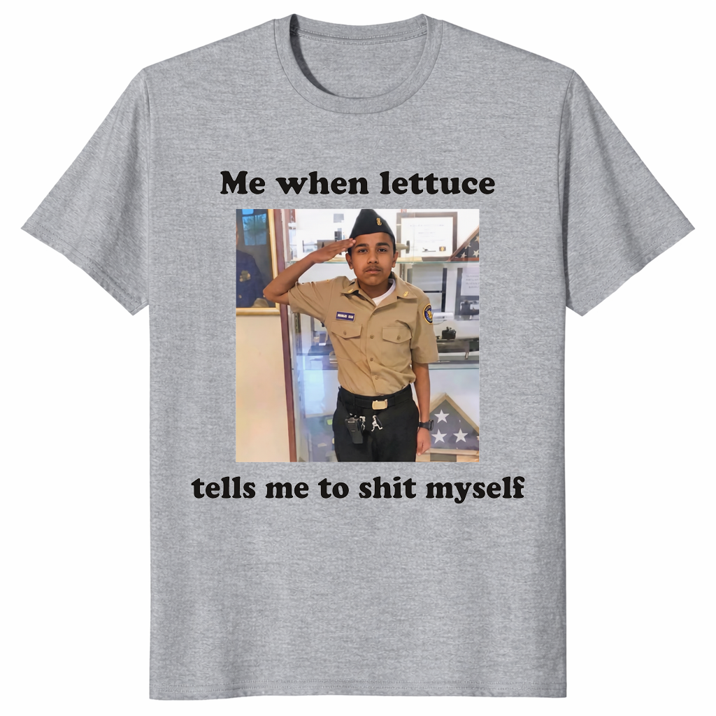 Funny meme shirt in sport grey