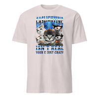 Gaslighting Isn't Real Cat Meme Bootleg Tummy Ache T-Shirt in Ice Grey