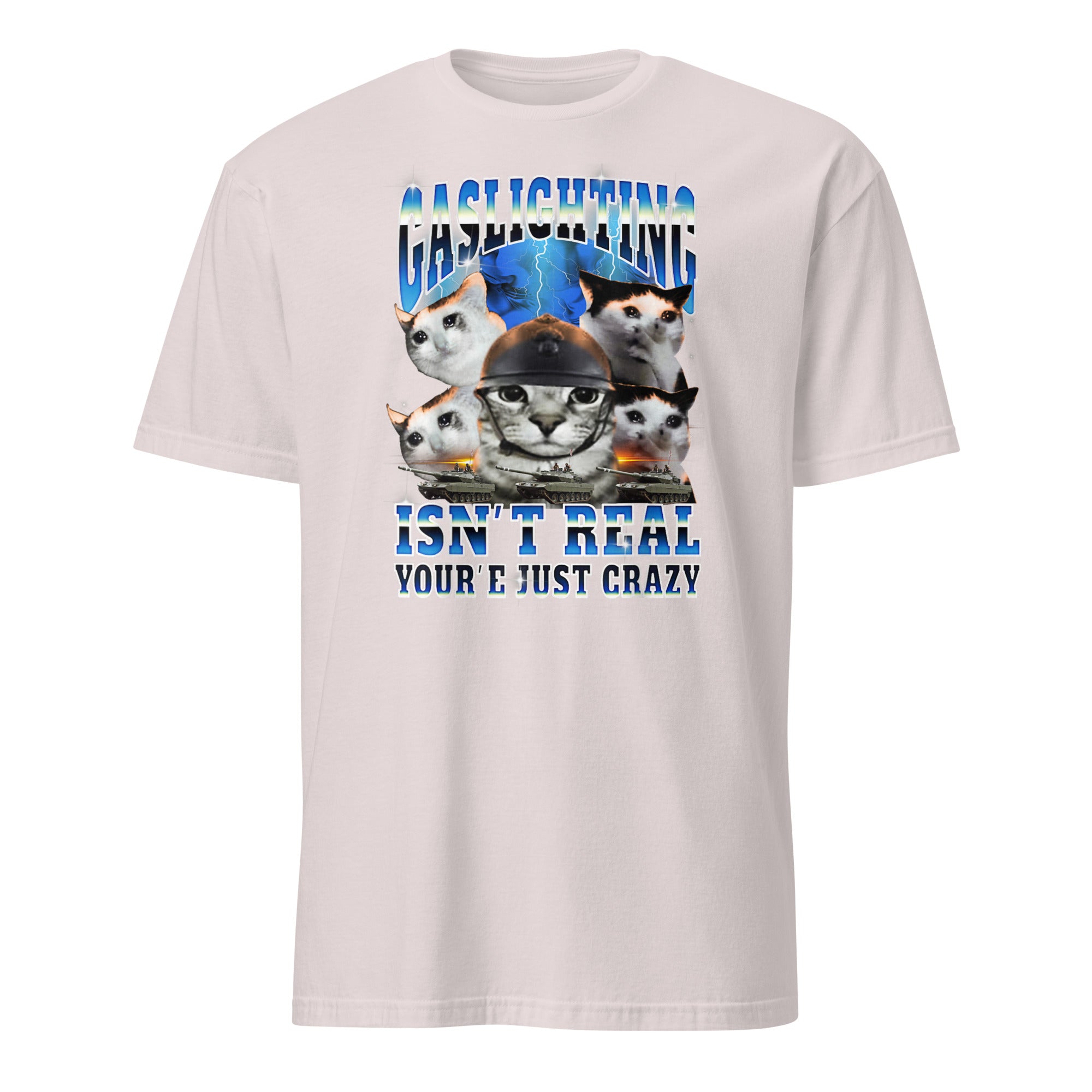 Gaslighting Isn't Real Cat Meme Bootleg Tummy Ache T-Shirt in Ice Grey