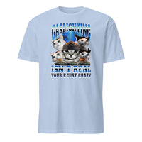 Gaslighting Isn't Real Cat Meme Bootleg Tummy Ache T-Shirt in Light Blue
