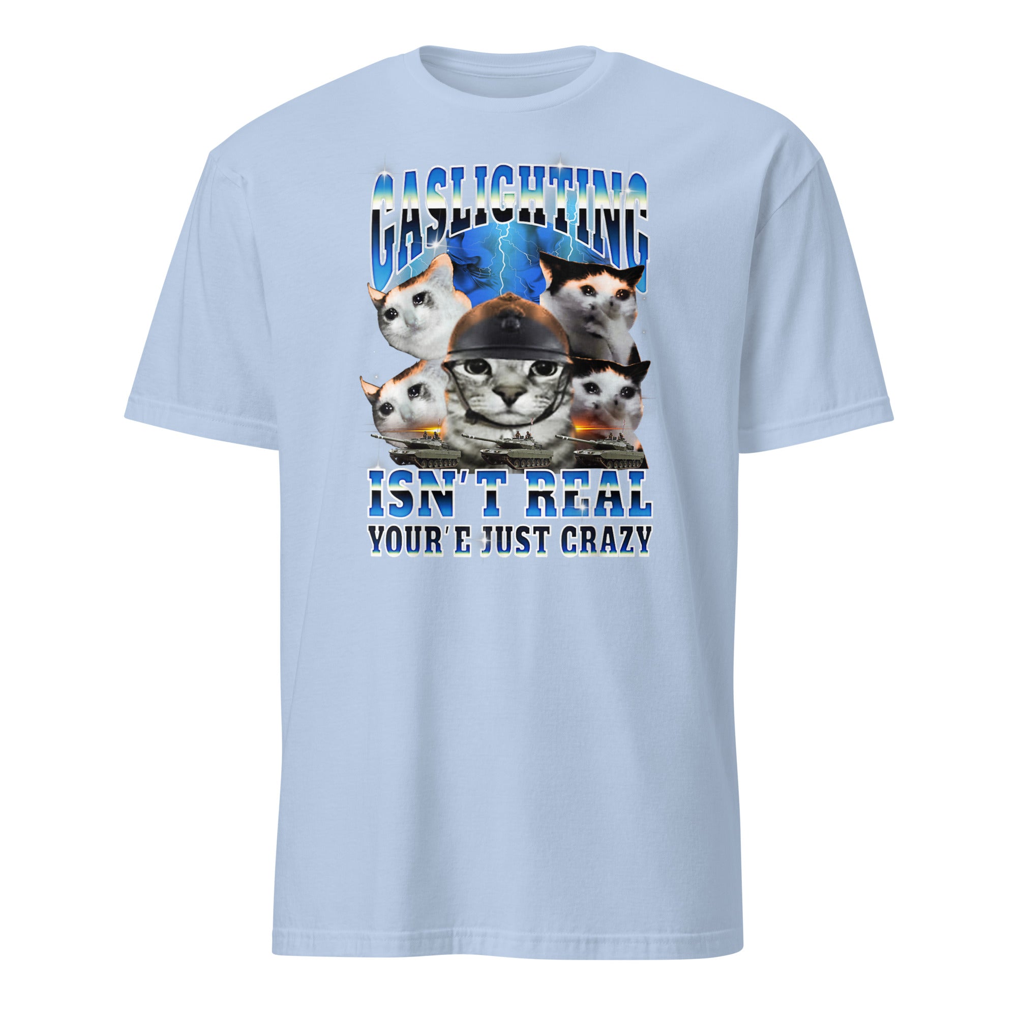 Gaslighting Isn't Real Cat Meme Bootleg Tummy Ache T-Shirt in Light Blue