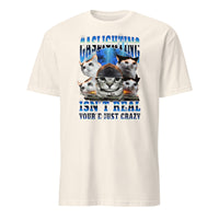 Gaslighting Isn't Real Cat Meme Bootleg Tummy Ache T-Shirt in Natural