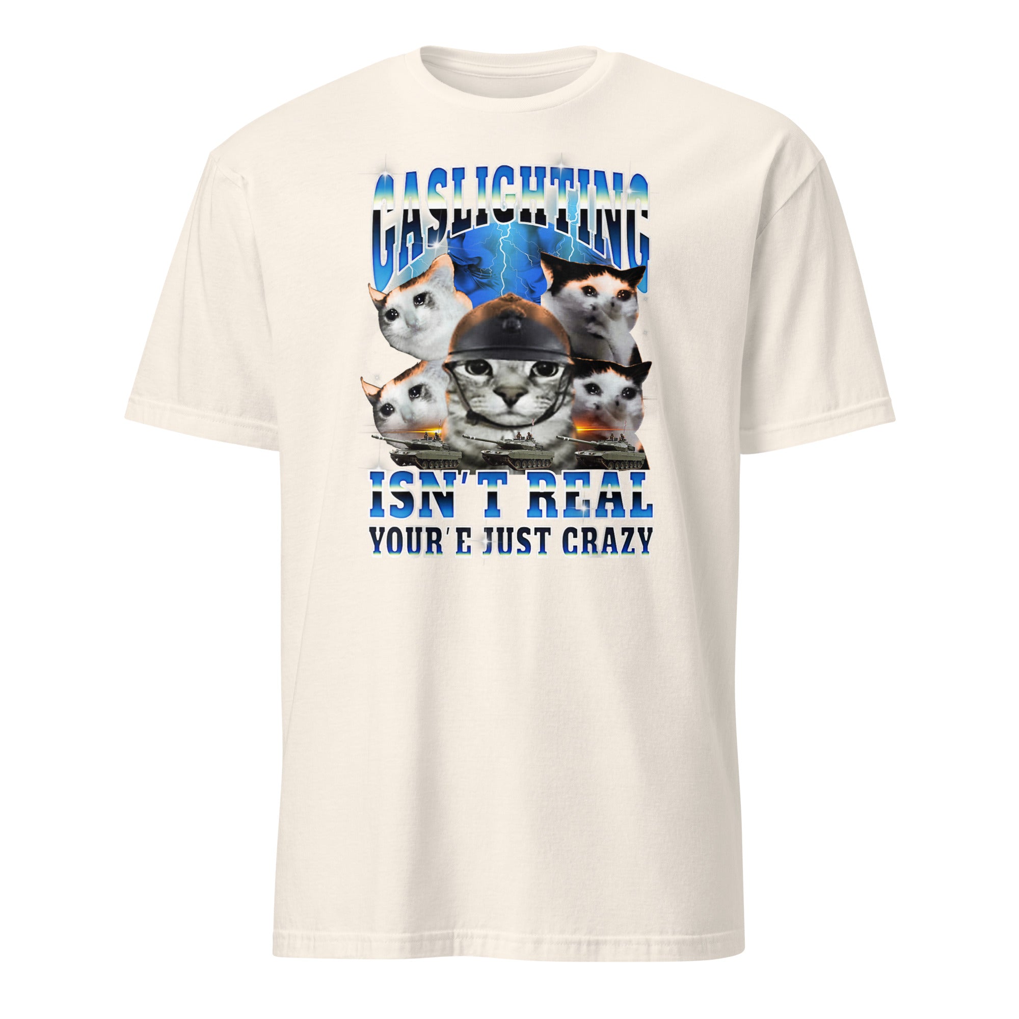 Gaslighting Isn't Real Cat Meme Bootleg Tummy Ache T-Shirt in Natural