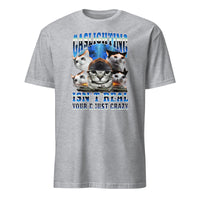 Gaslighting Isn't Real Cat Meme Bootleg Tummy Ache T-Shirt in Sport Grey