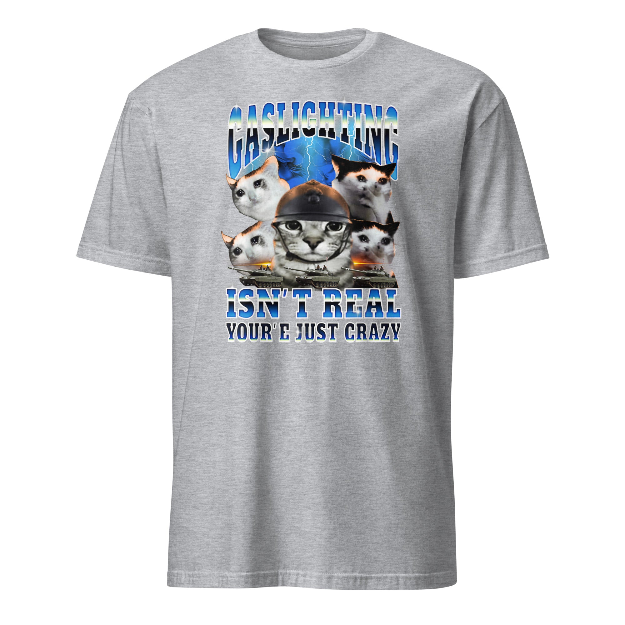 Gaslighting Isn't Real Cat Meme Bootleg Tummy Ache T-Shirt in Sport Grey