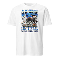 Gaslighting Isn't Real Cat Meme Bootleg Tummy Ache T-Shirt in White