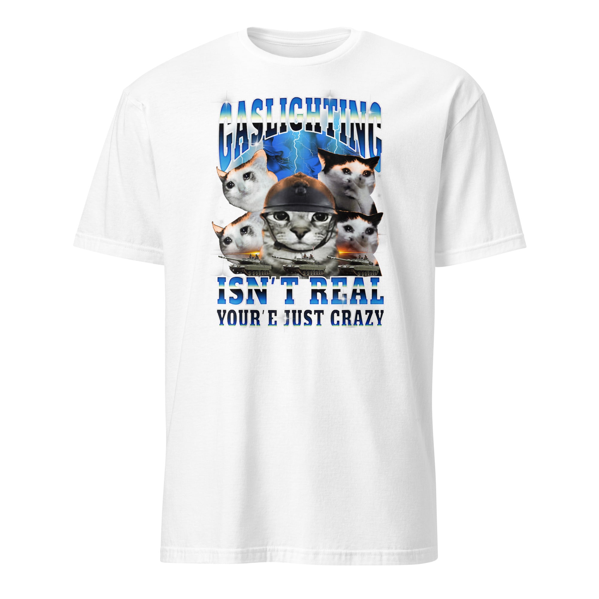 Gaslighting Isn't Real Cat Meme Bootleg Tummy Ache T-Shirt in White