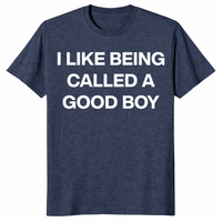 Novelty gift tee featuring I Like Being Called A Good Boy slogan