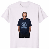 I'm Not A Model shirt ice grey