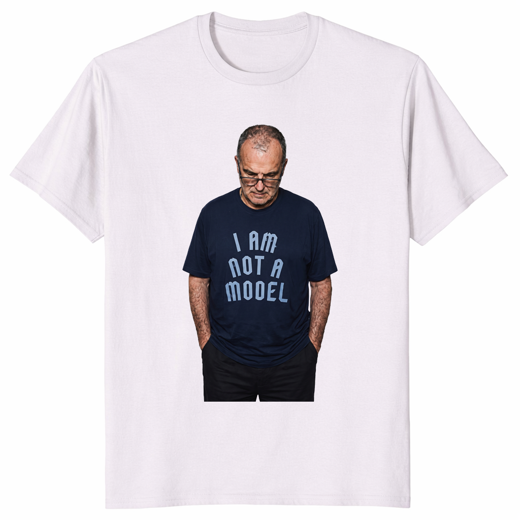 I'm Not A Model shirt ice grey