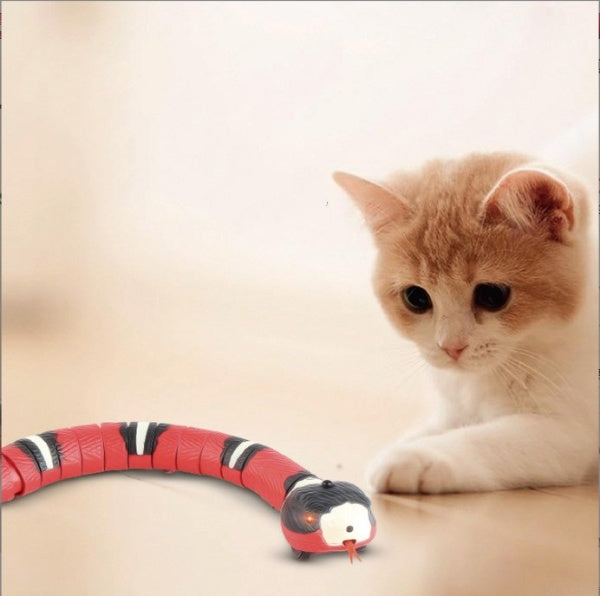 Smart Sensing Snake Cat Toy with USB Charging - YourCatBackpack.Co