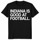 Indiana football shirt in black, funny college football fan tee