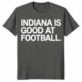 Indiana football shirt in dark heather, funny college football fan tee