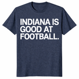Indiana football shirt in heather navy, funny college football fan tee