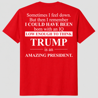Sometimes I Feel Down IQ Low Trump Shirt | Political Humor Tee | Cuccico