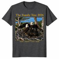 Jackie Shadow bald eagle shirt dark heather grey