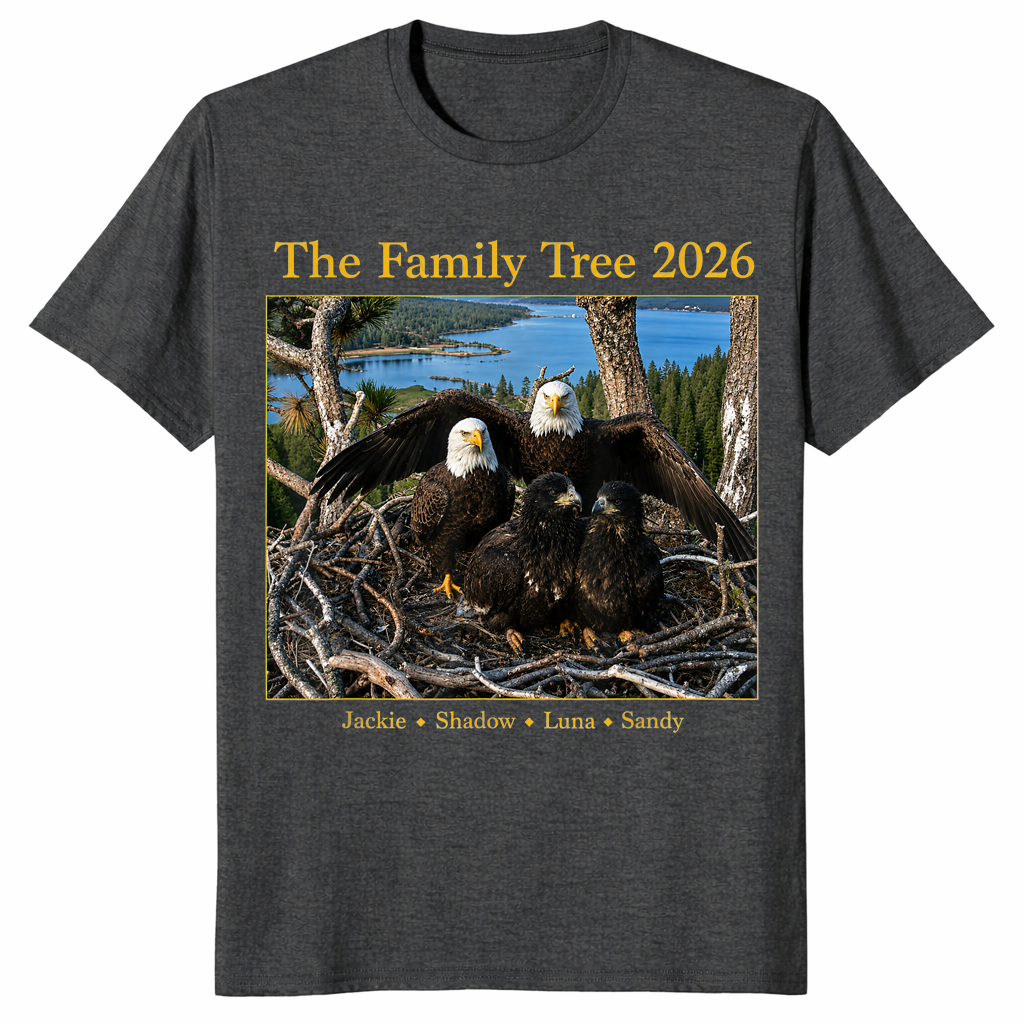 Jackie Shadow bald eagle shirt dark heather grey