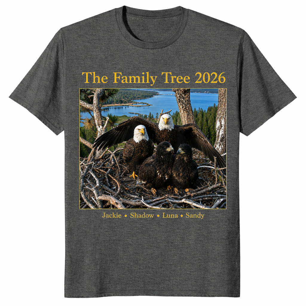Jackie Shadow bald eagle shirt dark heather
