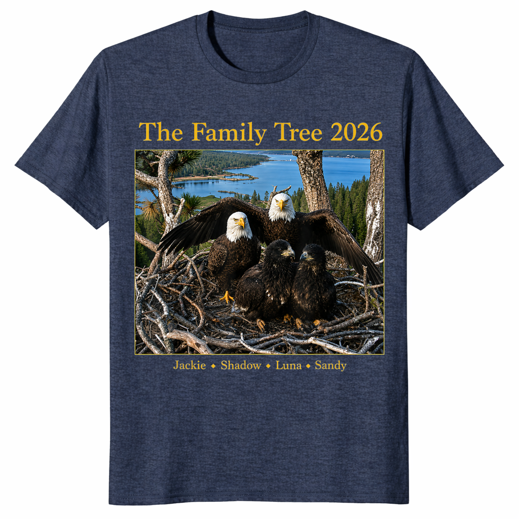 Jackie Shadow bald eagle shirt heather navy