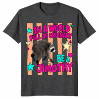 Jimothy viral raccoon shirt dark heather grey