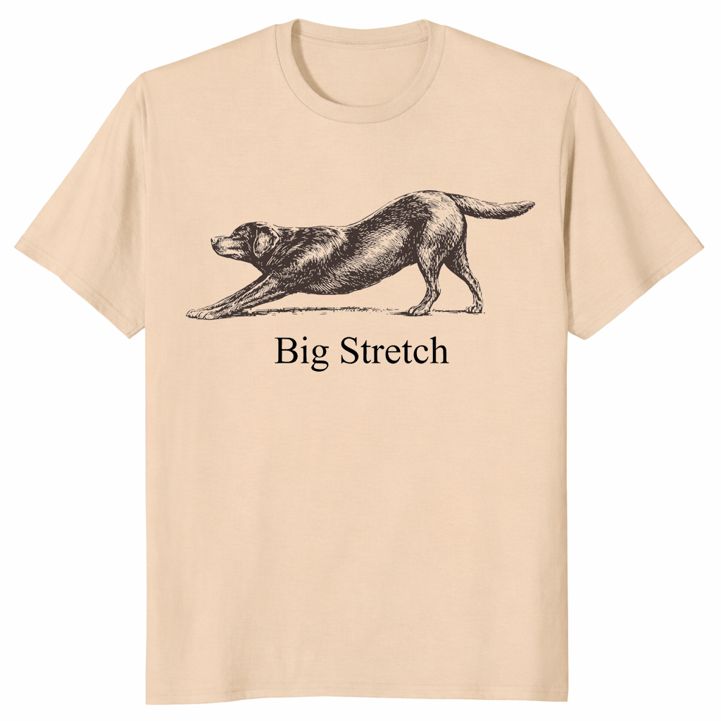 Labrador Retriever stretching dog shirt featuring Big Stretch text