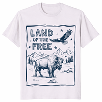 Land of the Free USA 250 Anniversary Graphic Tee in Ice Grey