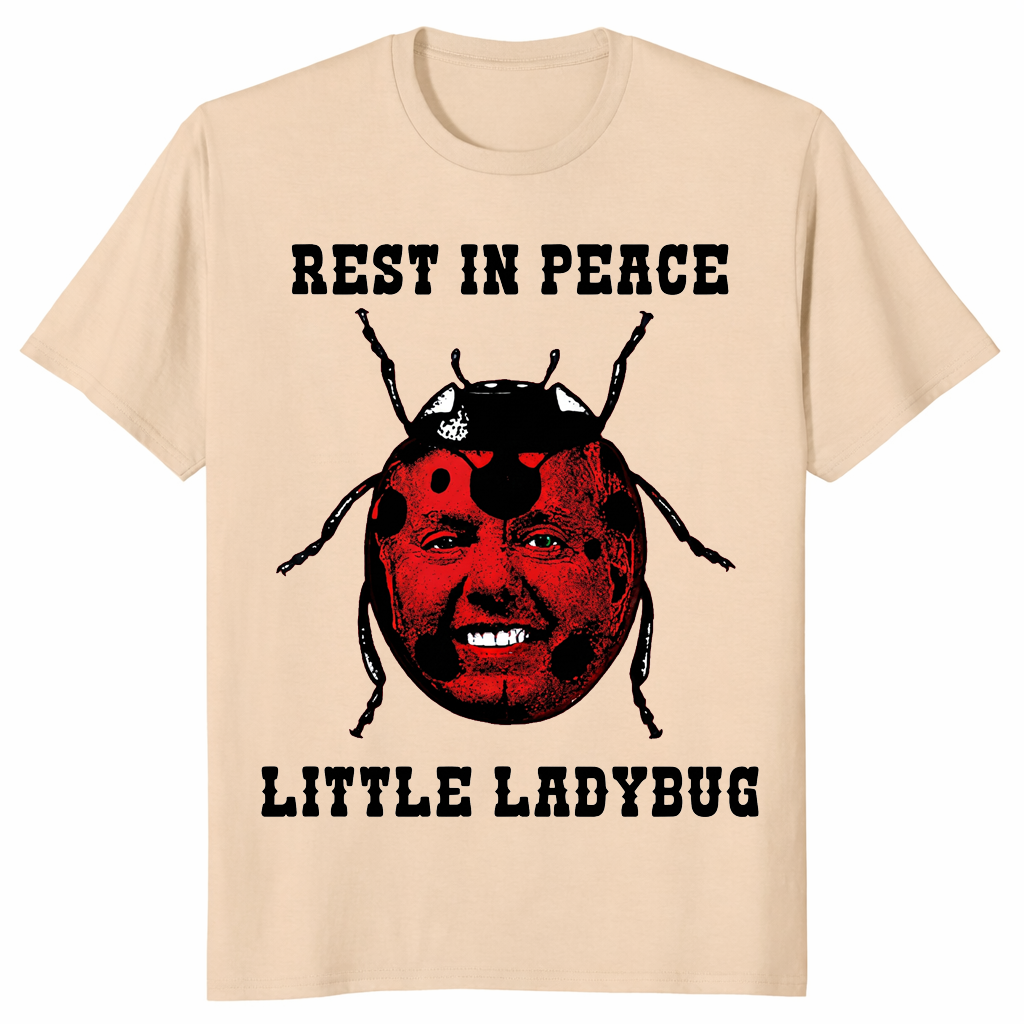 Little ladybug shirt in sand