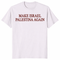 Make Israel Palestina shirt in ice grey
