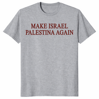 Make Israel Palestina shirt in sport grey
