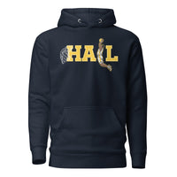 Michigan Wolverines dunk hoodie front view in navy with basketball graphic