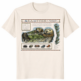 Monterey Bay Otter Shirt | Cute Sea Otter Graphic Tee | Cuccico