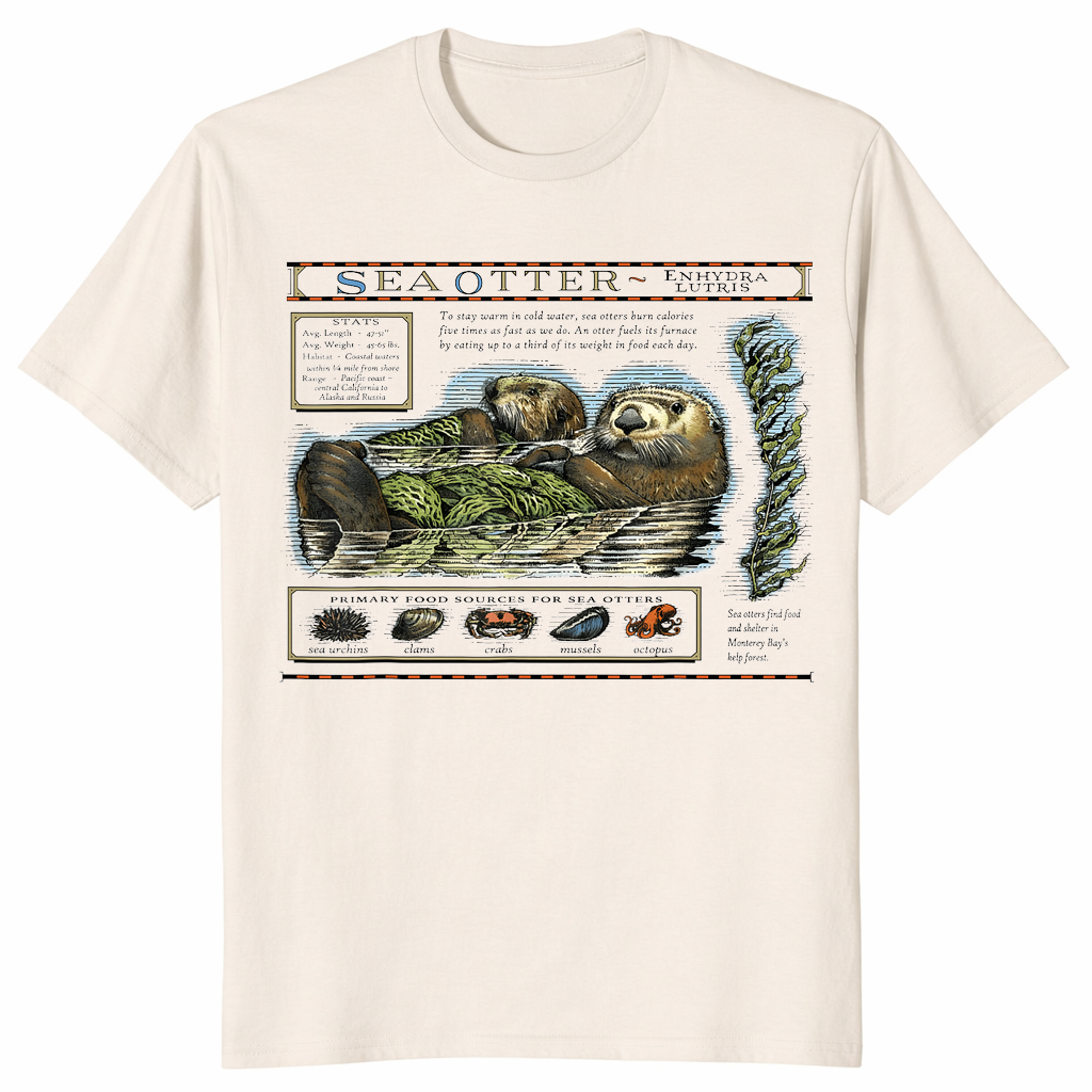 Monterey Bay Otter Shirt | Cute Sea Otter Graphic Tee | Cuccico