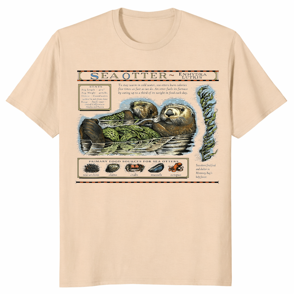 Monterey Bay Otter Shirt | Cute Sea Otter Graphic Tee | Cuccico