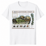 Monterey Bay Otter Shirt | Cute Sea Otter Graphic Tee | Cuccico