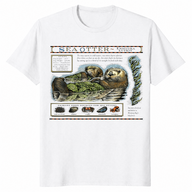 Monterey Bay Otter Shirt | Cute Sea Otter Graphic Tee | Cuccico