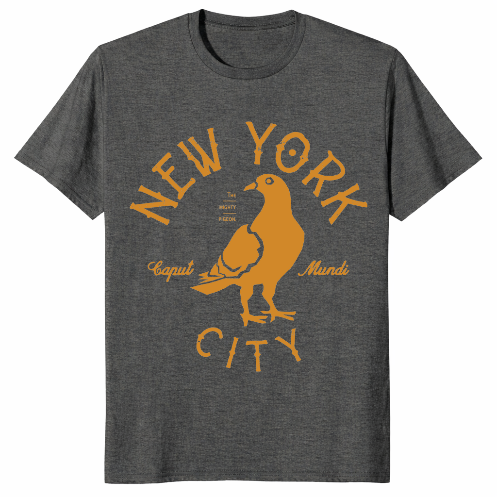 Dark heather New York City pigeon shirt NYC souvenir tee