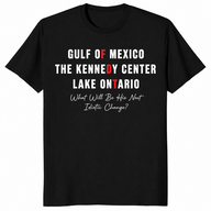 Next Idiotic Change shirt in black