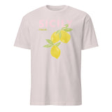 Cuccico Sicily graphic t-shirt in Ice Grey, relaxed travel tee
