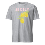 Cuccico Sicily graphic t-shirt in Sport Grey, vintage travel style