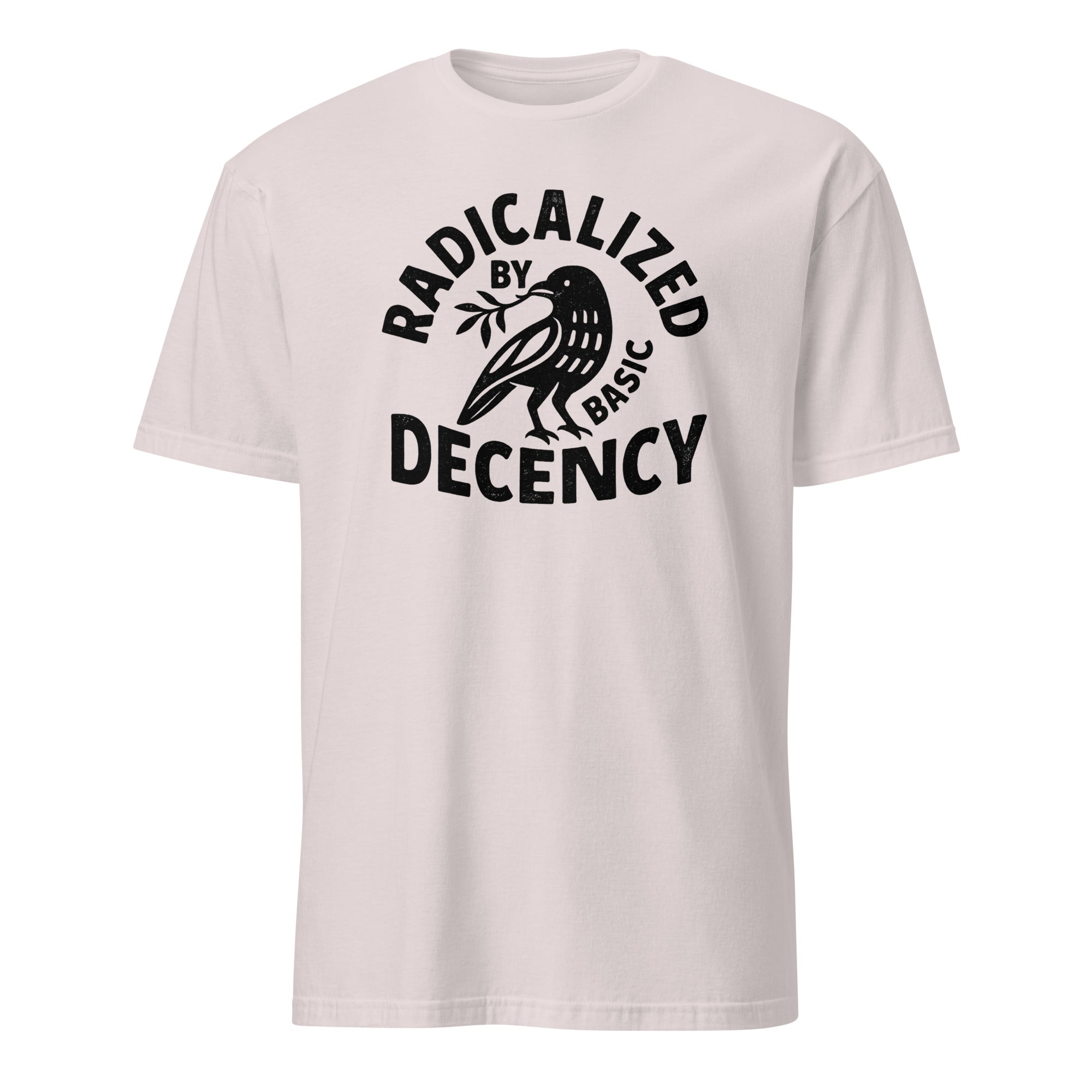 Radicalized By Basic Decency T-Shirt in Ice Grey by Cuccico