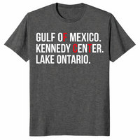 Renaming Political Protest shirt dark heather