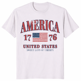Retro America Aesthetic Patriotic Shirt in Ice Grey