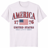 Retro America Aesthetic Patriotic Shirt in Ice Grey