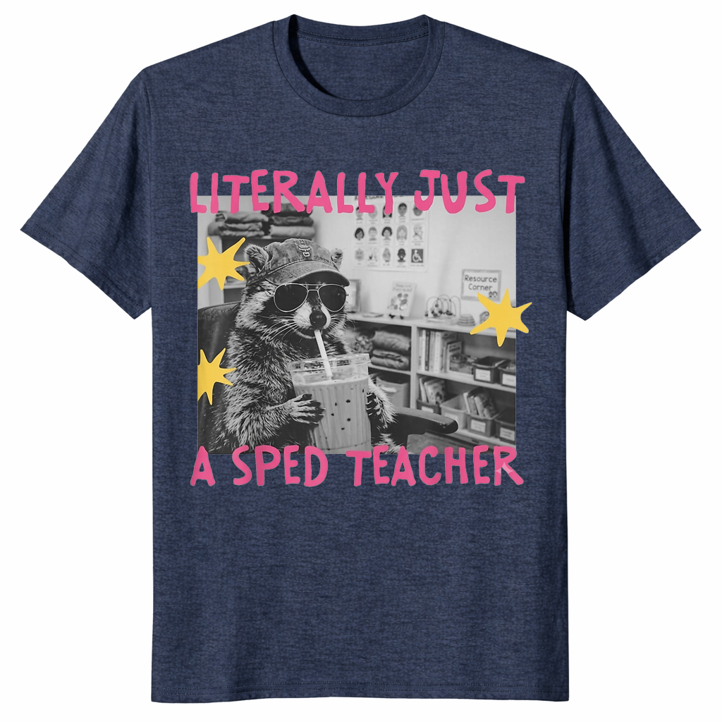 Sped teacher raccoon shirt in dark heather grey
