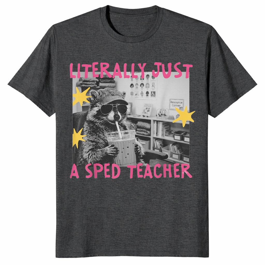 Sped teacher raccoon shirt in heather navy