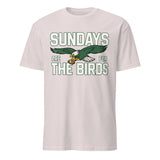 Sundays Are for the Birds Philadelphia Kids T-Shirt in ice grey by Cuccico