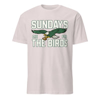 Sundays Are for the Birds Philadelphia Kids T-Shirt in ice grey by Cuccico