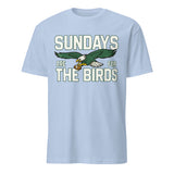 Sundays Are for the Birds Philadelphia Kids T-Shirt in light blue by Cuccico