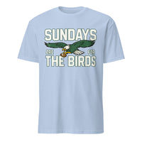 Sundays Are for the Birds Philadelphia Kids T-Shirt in light blue by Cuccico